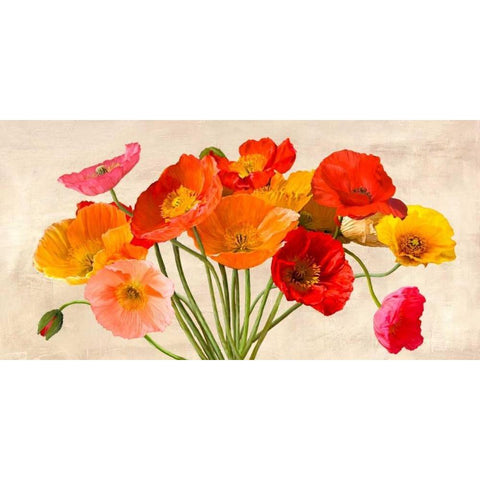 Poppies in Spring Black Modern Wood Framed Art Print with Double Matting by Villa, Luca