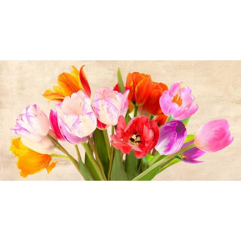 Tulips in Spring Black Modern Wood Framed Art Print with Double Matting by Villa, Luca