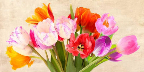 Tulips in Spring White Modern Wood Framed Art Print with Double Matting by Villa, Luca