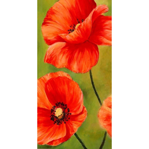 Poppies in the wind I Gold Ornate Wood Framed Art Print with Double Matting by Villa, Luca