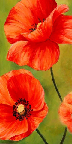 Poppies in the wind I Black Ornate Wood Framed Art Print with Double Matting by Villa, Luca