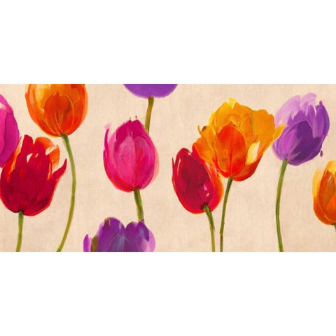 Tulips and Colors Black Modern Wood Framed Art Print by Villa, Luca