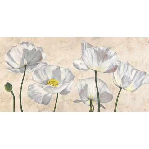 Poppies in White Black Modern Wood Framed Art Print with Double Matting by Luca, Villa