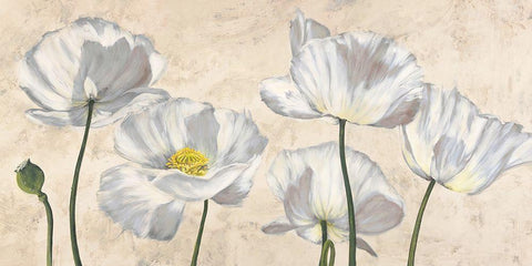 Poppies in White White Modern Wood Framed Art Print with Double Matting by Luca, Villa