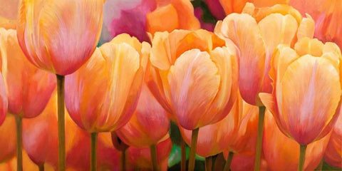 Summer Tulips Black Ornate Wood Framed Art Print with Double Matting by Villa, Luca