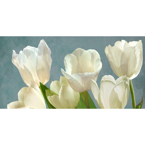 White Tulips on Blue Gold Ornate Wood Framed Art Print with Double Matting by Villa, Luca
