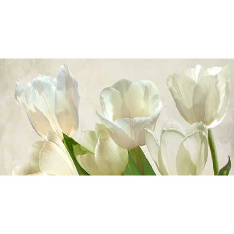 White Tulips (detail) White Modern Wood Framed Art Print by Villa, Luca