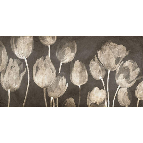 Washed Tulips Black Modern Wood Framed Art Print by Villa, Luca