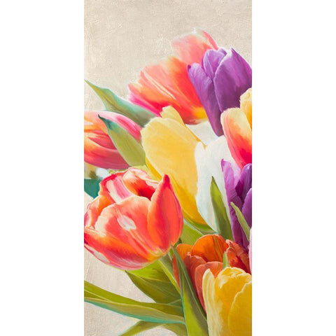 Spring Tulips I Black Modern Wood Framed Art Print by Villa, Luca