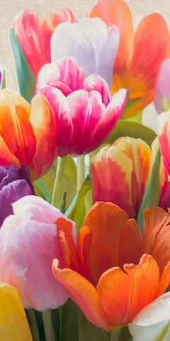 Spring Tulips II Black Ornate Wood Framed Art Print with Double Matting by Villa, Luca
