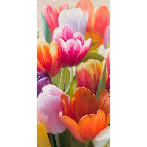 Spring Tulips II Black Modern Wood Framed Art Print with Double Matting by Villa, Luca