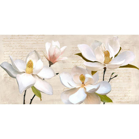 Ivory Magnolia Black Modern Wood Framed Art Print with Double Matting by Villa, Luca