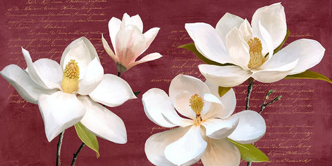 Burgundy Magnolia White Modern Wood Framed Art Print with Double Matting by Villa, Luca