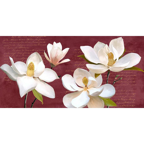 Burgundy Magnolia Black Modern Wood Framed Art Print with Double Matting by Villa, Luca