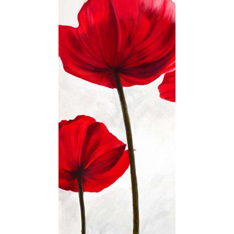 Reds I Black Modern Wood Framed Art Print by Villa, Luca