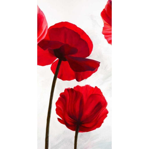 Reds II Black Modern Wood Framed Art Print with Double Matting by Villa, Luca