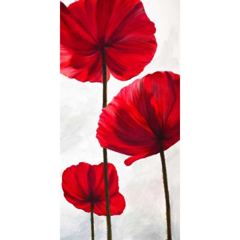 Reds III White Modern Wood Framed Art Print by Villa, Luca