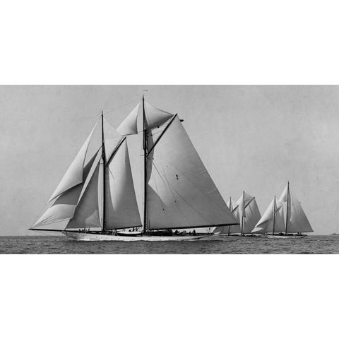 Schooner Race White Modern Wood Framed Art Print by Levick, Edwin