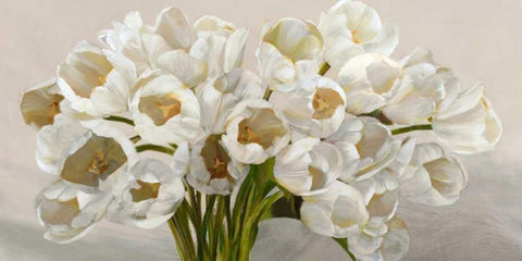 Tulipes blanches White Modern Wood Framed Art Print with Double Matting by Sanna, Leonardo