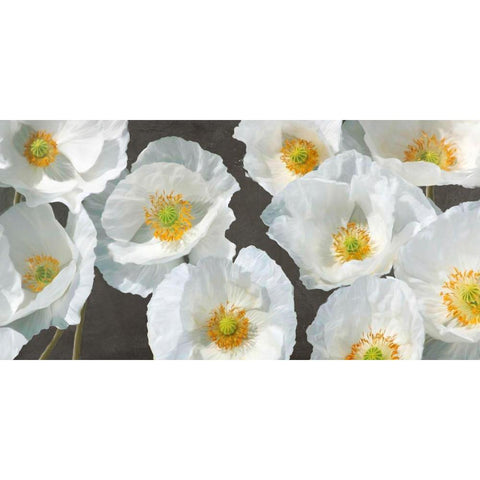 Poppy Arrangement (Chalkboard) White Modern Wood Framed Art Print by Leonardo, Sanna