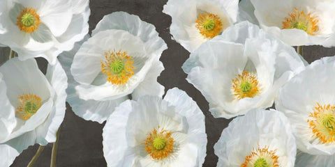 Poppy Arrangement (Chalkboard) Black Ornate Wood Framed Art Print with Double Matting by Leonardo, Sanna