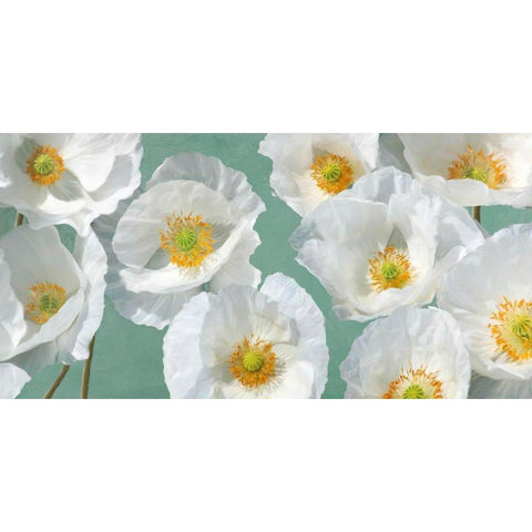 Poppy Arrangement (Mint) White Modern Wood Framed Art Print by Leonardo, Sanna