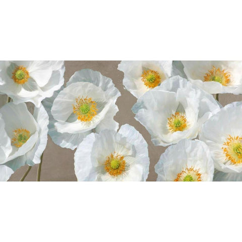 Poppy Arrangement (Taupe) White Modern Wood Framed Art Print by Leonardo, Sanna