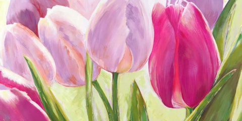 Tulipes Black Ornate Wood Framed Art Print with Double Matting by Sanna, Leonardo