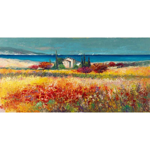 Sogno mediterraneo Gold Ornate Wood Framed Art Print with Double Matting by Florio, Luigi