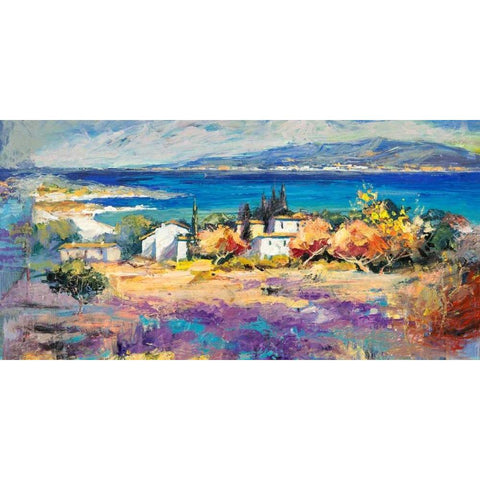 Costa mediterranea (detail) Black Modern Wood Framed Art Print by Florio, Luigi