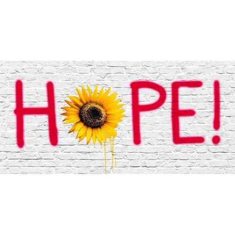 HOPE! (New Orleans) Black Modern Wood Framed Art Print with Double Matting by Masterfunk Collective