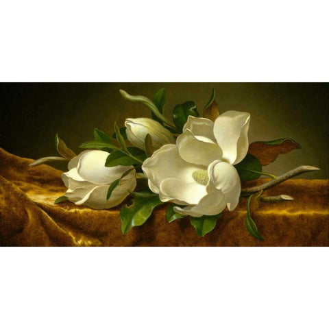 Magnolias on Gold Velvet Cloth Gold Ornate Wood Framed Art Print with Double Matting by Heade, Martin Johnson