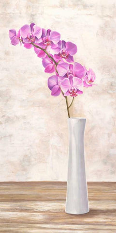 Orchid Arrangement White Modern Wood Framed Art Print with Double Matting by Mills, Shin