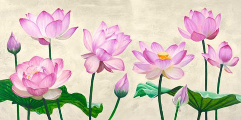 Lotus flowers White Modern Wood Framed Art Print with Double Matting by Mills, Shin