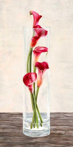 Arrangement of callas White Modern Wood Framed Art Print with Double Matting by Mills, Shin