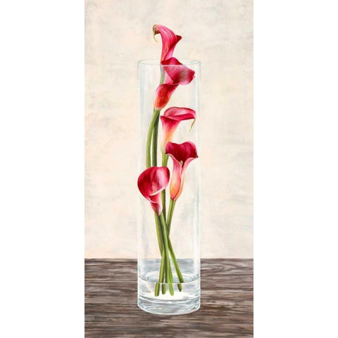 Arrangement of callas Black Modern Wood Framed Art Print by Mills, Shin