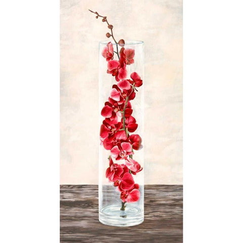 Arrangement of orchids Black Modern Wood Framed Art Print by Mills, Shin