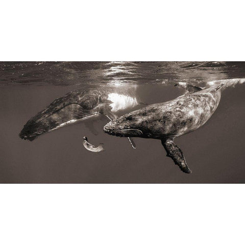 La Fille de la Mer Gold Ornate Wood Framed Art Print with Double Matting by Moreau, Marc