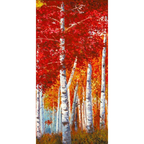 Betulle I Black Modern Wood Framed Art Print with Double Matting by Masera, Angelo