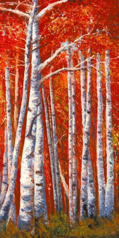 Betulle III White Modern Wood Framed Art Print with Double Matting by Masera, Angelo