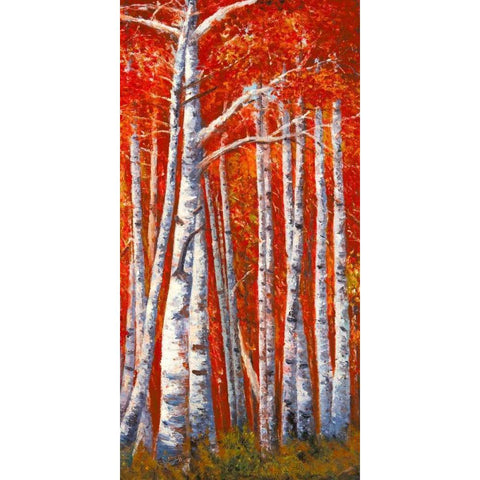 Betulle III White Modern Wood Framed Art Print by Masera, Angelo