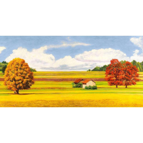 Pianure serene (detail) Black Modern Wood Framed Art Print by Angelo, Masera