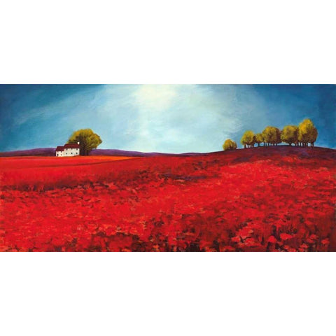 Field of poppies White Modern Wood Framed Art Print by Bloom, Philip