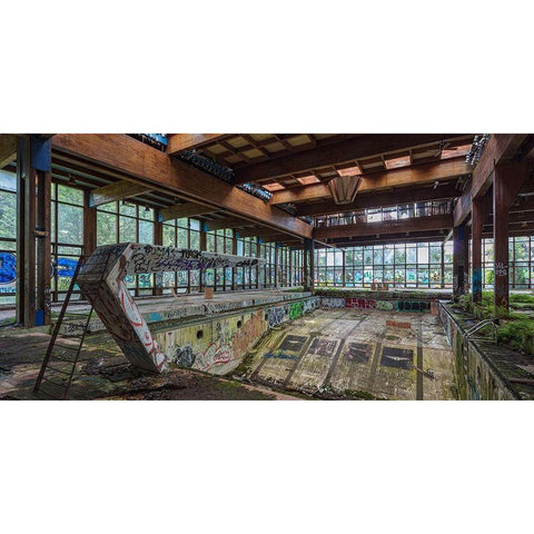 Abandoned Resort Pool, Upstate NY (detail) Black Modern Wood Framed Art Print by Berenholtz, Richard