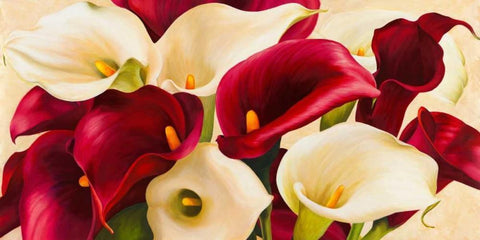 Calla composition White Modern Wood Framed Art Print with Double Matting by Biffi, Serena