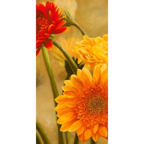 Gerbere nel sole I Gold Ornate Wood Framed Art Print with Double Matting by Biffi, Serena