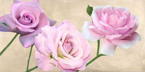 Rose classiche White Modern Wood Framed Art Print with Double Matting by Biffi,  Serena