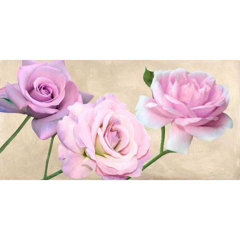 Rose classiche Black Modern Wood Framed Art Print with Double Matting by Biffi,  Serena