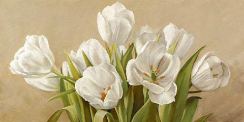 Tulipani bianchi Black Ornate Wood Framed Art Print with Double Matting by Biffi, Serena