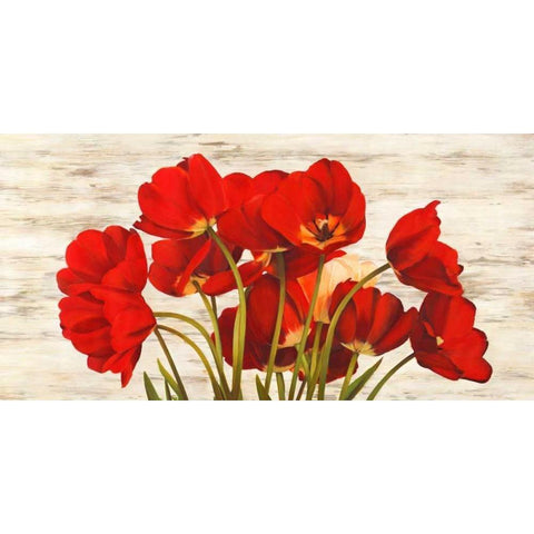 French Tulips White Modern Wood Framed Art Print by Biffi, Serena